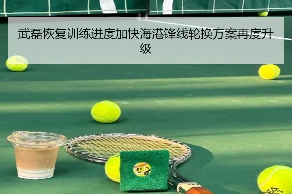 武磊恢复训练进度加快海港锋线轮换方案再度升级